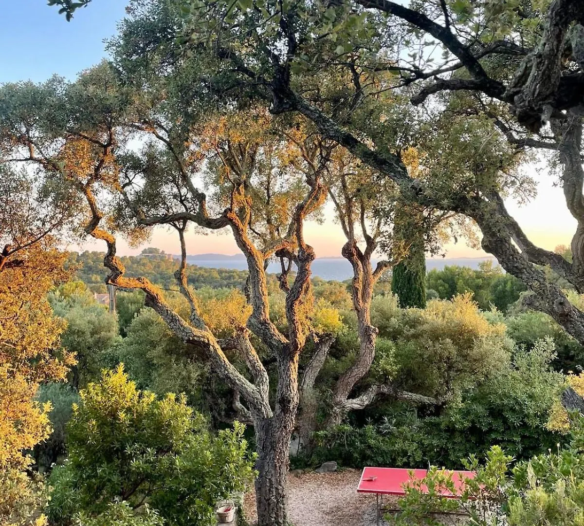 Villa Provencale Vue Mer Bormes-les-Mimosas